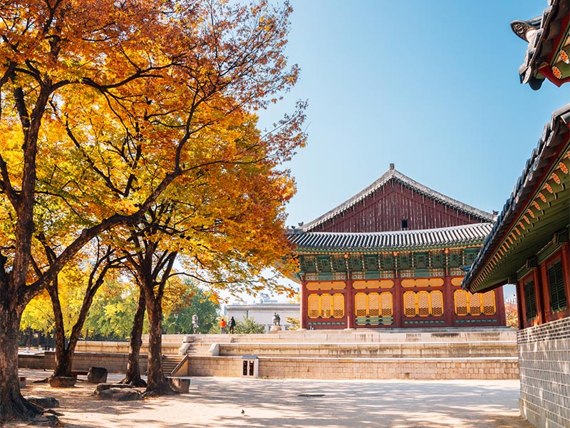 Seoul Fall, South Korea